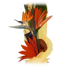 Стрелиции – 5 бр.